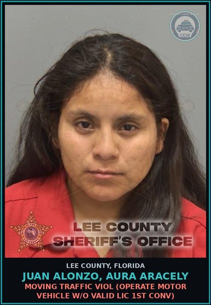 CCW arrest card for JUAN ALONZO, AURA ARACELY in Lee County: MOVING TRAFFIC VIOL  (OPERATE MOTOR VEHICLE W/O VALID LIC 1ST CONV)