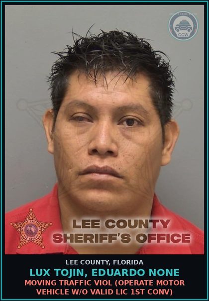 CCW arrest card for LUX TOJIN, EDUARDO NONE in Lee County: MOVING TRAFFIC VIOL  (OPERATE MOTOR VEHICLE W/O VALID LIC 1ST CONV)