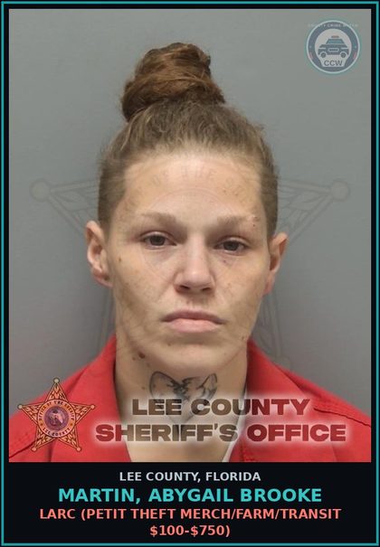 CCW arrest card for MARTIN, ABYGAIL BROOKE in Lee County: LARC  (PETIT THEFT MERCH/FARM/TRANSIT $100-$750)