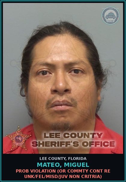 CCW arrest card for MATEO, MIGUEL in Lee County: PROB VIOLATION  (OR COMMTY CONT RE UNK/FEL/MISD/JUV NON CRITRIA)