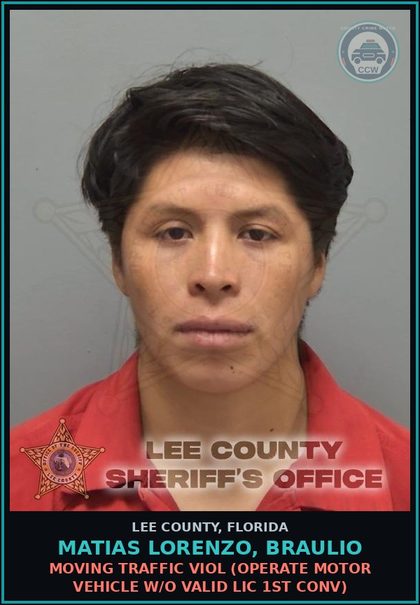 CCW arrest card for MATIAS LORENZO, BRAULIO in Lee County: MOVING TRAFFIC VIOL  (OPERATE MOTOR VEHICLE W/O VALID LIC 1ST CONV)