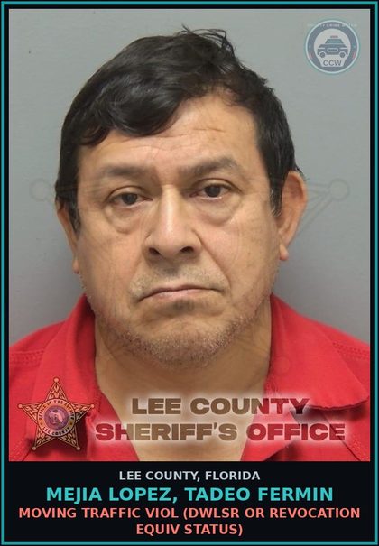 CCW arrest card for MEJIA LOPEZ, TADEO FERMIN in Lee County: MOVING TRAFFIC VIOL  (DWLSR OR REVOCATION EQUIV STATUS)