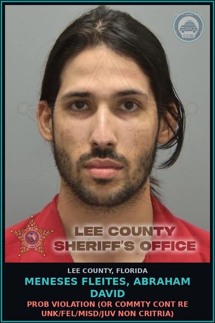 CCW arrest card for MENESES FLEITES, ABRAHAM DAVID in Lee County: PROB VIOLATION  (OR COMMTY CONT RE UNK/FEL/MISD/JUV NON CRITRIA)