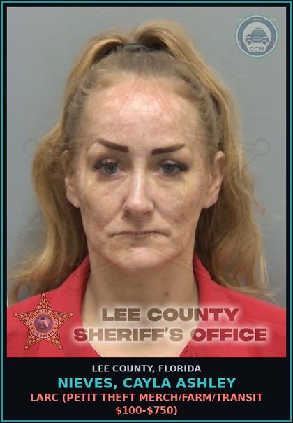 CCW arrest card for NIEVES, CAYLA ASHLEY in Lee County: LARC  (PETIT THEFT MERCH/FARM/TRANSIT $100-$750)