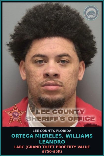 CCW arrest card for ORTEGA MIERELES, WILLIAMS LEANDRO in Lee County: LARC  (GRAND THEFT PROPERTY VALUE $750-$5K)