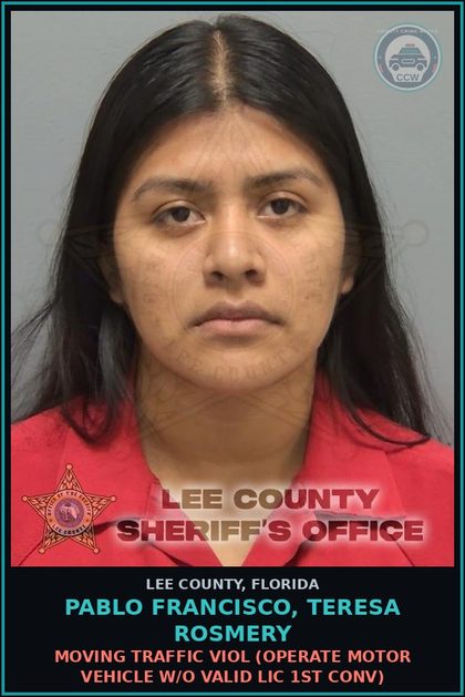 CCW arrest card for PABLO FRANCISCO, TERESA ROSMERY in Lee County: MOVING TRAFFIC VIOL  (OPERATE MOTOR VEHICLE W/O VALID LIC 1ST CONV)