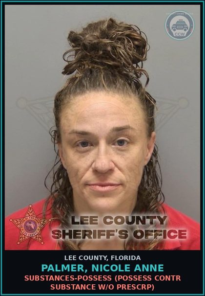 CCW arrest card for PALMER, NICOLE ANNE in Lee County: DRUGS-POSSESS  (POSSESS contr substance W/O PRESCRIPTION)