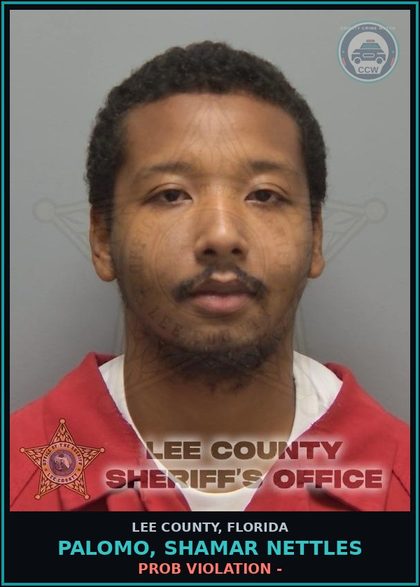 CCW arrest card for PALOMO, SHAMAR NETTLES in Lee County: PROB VIOLATION -