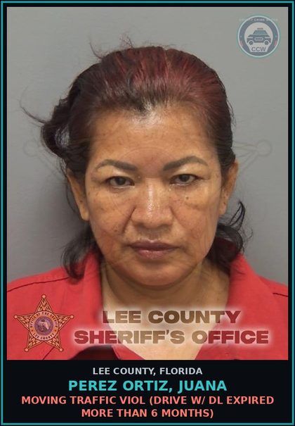 CCW arrest card for PEREZ ORTIZ, JUANA in Lee County: MOVING TRAFFIC VIOL  (DRIVE W/ DL EXPIRED MORE THAN 6 MONTHS)