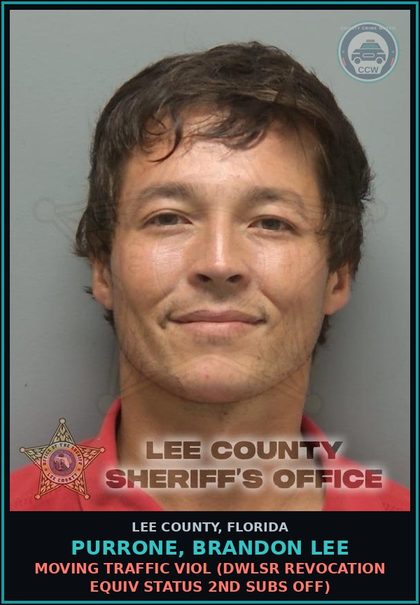 CCW arrest card for PURRONE, BRANDON LEE in Lee County: MOVING TRAFFIC VIOL  (DWLSR REVOCATION EQUIV STATUS 2ND SUBS OFF)