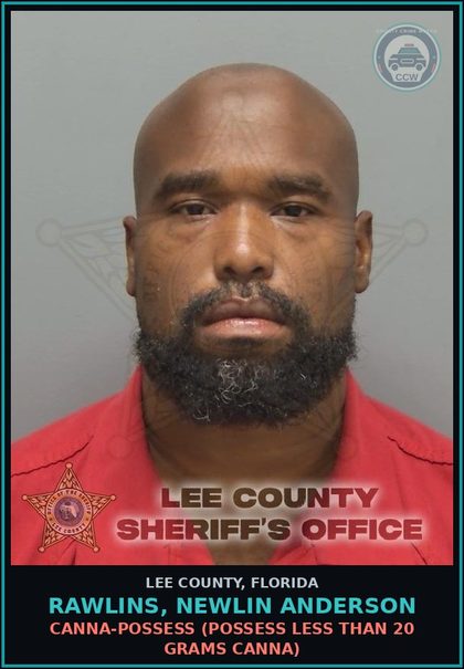 CCW arrest card for RAWLINS, NEWLIN ANDERSON in Lee County: Canna-POSSESS  (POSSESS LESS THAN 20 GRAMS Canna)