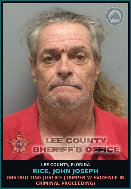 CCW arrest card for RICE, JOHN JOSEPH in Lee County: CRIMES AGAINST PERSON  (ABUSE ELDERLY OR DISABLED ADULT WO GREAT HARM)