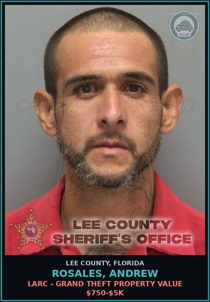 CCW arrest card for ROSALES, ANDREW in Lee County: LARC - GRAND THEFT PROPERTY VALUE $750-$5K