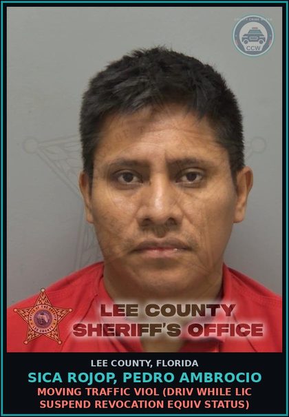 CCW arrest card for SICA ROJOP, PEDRO AMBROCIO in Lee County: MOVING TRAFFIC VIOL  (DRIV WHILE LIC SUSPEND REVOCATION EQUIV STATUS)