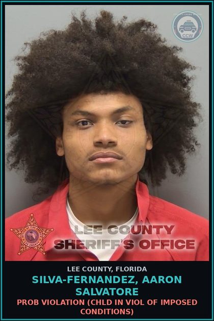 CCW arrest card for SILVA-FERNANDEZ, AARON SALVATORE in Lee County: PROB VIOLATION  (chld IN VIOL OF IMPOSED CONDITIONS)