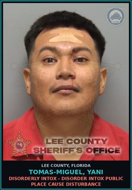 CCW arrest card for TOMAS-MIGUEL, YANI in Lee County: DISORDERLY INTOX - DISORDER INTOX PUBLIC PLACE CAUSE DISTURBANCE