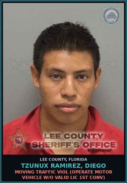 CCW arrest card for TZUNUX RAMIREZ, DIEGO in Lee County: MOVING TRAFFIC VIOL  (OPERATE MOTOR VEHICLE W/O VALID LIC 1ST CONV)