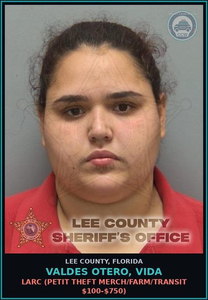 CCW arrest card for VALDES OTERO, VIDA in Lee County: LARC  (PETIT THEFT MERCH/FARM/TRANSIT $100-$750)