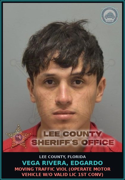 CCW arrest card for VEGA RIVERA, EDGARDO in Lee County: MOVING TRAFFIC VIOL  (OPERATE MOTOR VEHICLE W/O VALID LIC 1ST CONV)