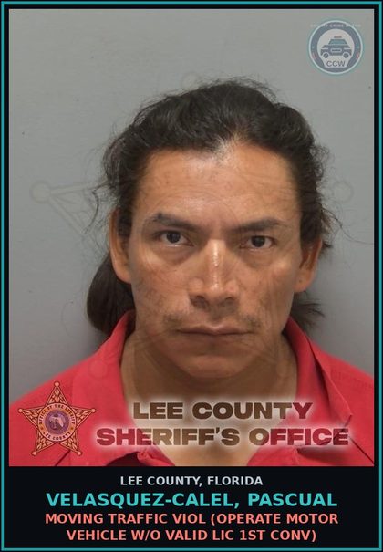 CCW arrest card for VELASQUEZ-CALEL, PASCUAL in Lee County: MOVING TRAFFIC VIOL  (OPERATE MOTOR VEHICLE W/O VALID LIC 1ST CONV)