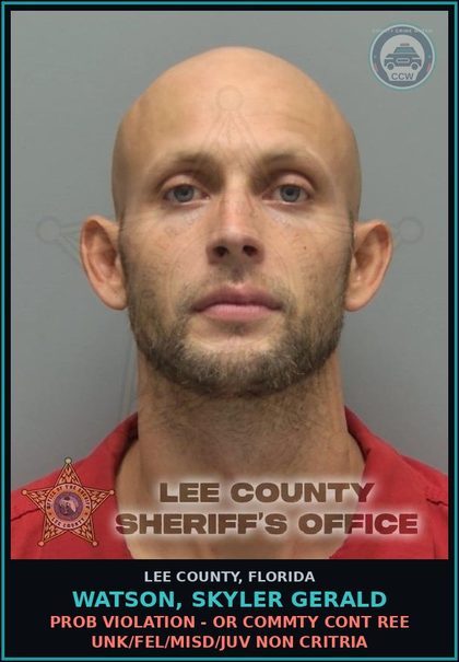 CCW arrest card for WATSON, SKYLER GERALD in Lee County: PROB VIOLATION - OR COMMTY CONT REE UNK/FEL/MISD/JUV NON CRITRIA