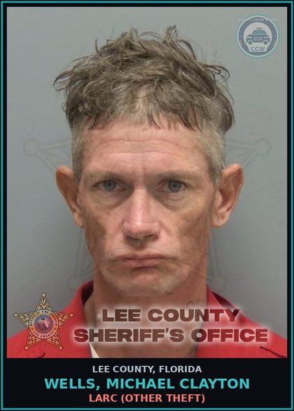 CCW arrest card for WELLS, MICHAEL CLAYTON in Lee County: LARC  (OTHER THEFT)