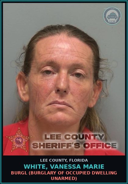 CCW arrest card for WHITE, VANESSA MARIE in Lee County: LARC  (GRAND THEFT PROP DWELLING/CURTILAGE $40-$750)
