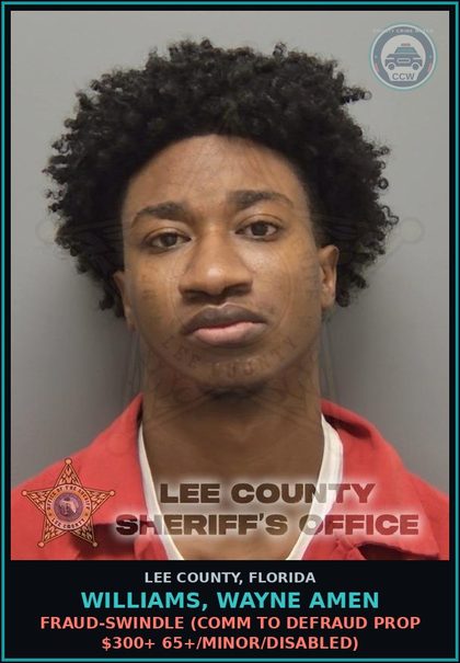 CCW arrest card for WILLIAMS, WAYNE AMEN in Lee County: FRAUD-SWINDLE  (COMM TO DEFRAUD PROP $300+ 65+/MINOR/DISABLED)