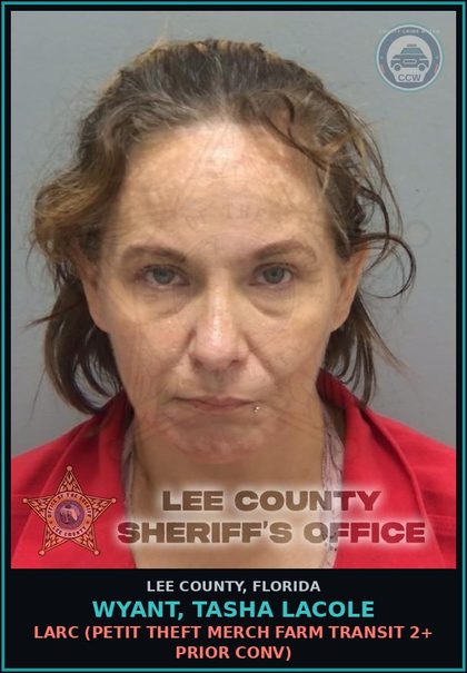 CCW arrest card for WYANT, TASHA LACOLE in Lee County: LARC  (PETIT THEFT MERCH FARM TRANSIT 2+ PRIOR CONV)