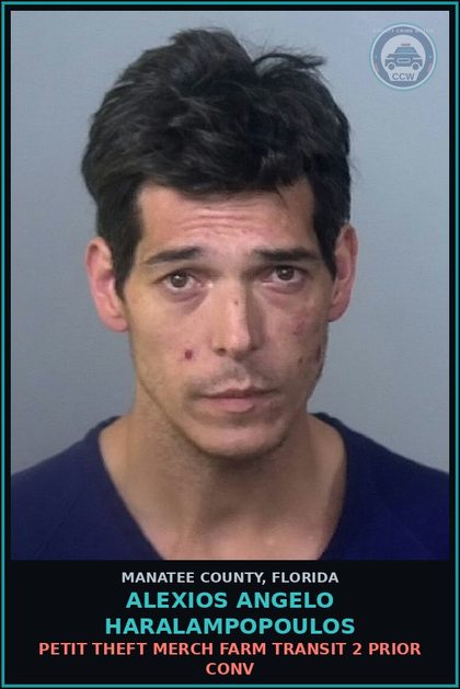 CCW arrest card for ALEXIOS ANGELO HARALAMPOPOULOS in Manatee County: PETIT THEFT MERCH FARM TRANSIT 2 PRIOR CONV
