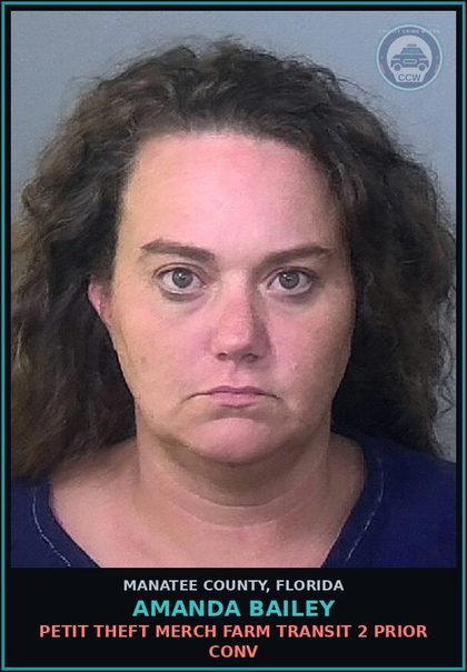 CCW arrest card for AMANDA BAILEY in Manatee County: PETIT THEFT MERCH FARM TRANSIT 2 PRIOR CONV