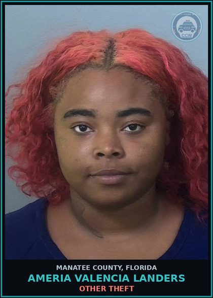 CCW arrest card for AMERIA VALENCIA LANDERS in Manatee County: OTHER THEFT