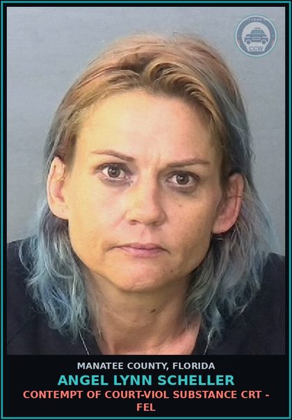 CCW arrest card for ANGEL LYNN SCHELLER in Manatee County: CONTEMPT OF COURT-VIOL DRUG CRT - FEL