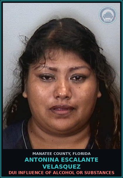 CCW arrest card for ANTONINA ESCALANTE VELASQUEZ in Manatee County: DUI INFLUENCE OF ALCOHOL OR DRUGS