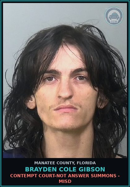 CCW arrest card for BRAYDEN COLE GIBSON in Manatee County: CONTEMPT COURT-NOT ANSWER SUMMONS - MISD