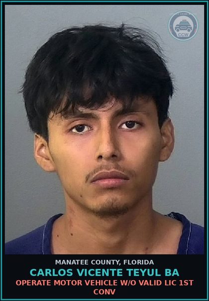 CCW arrest card for CARLOS VICENTE TEYUL BA in Manatee County: OPERATE MOTOR VEHICLE W/O VALID LIC 1ST CONV