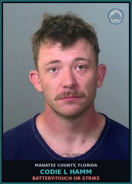 CCW arrest card for CODIE L HAMM in Manatee County: BATTERY-TOUCH OR STRIKE