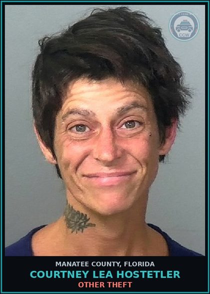 CCW arrest card for COURTNEY LEA HOSTETLER in Manatee County: OTHER THEFT