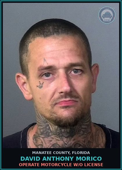 CCW arrest card for DAVID ANTHONY MORICO in Manatee County: OPERATE MOTORCYCLE W/O LICENSE