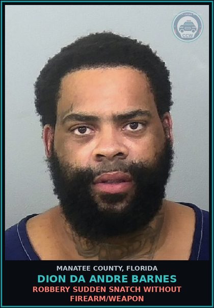 CCW arrest card for DION DA ANDRE BARNES in Manatee County: COMMIT DOMESTIC BATTERY BY STRANGULATION