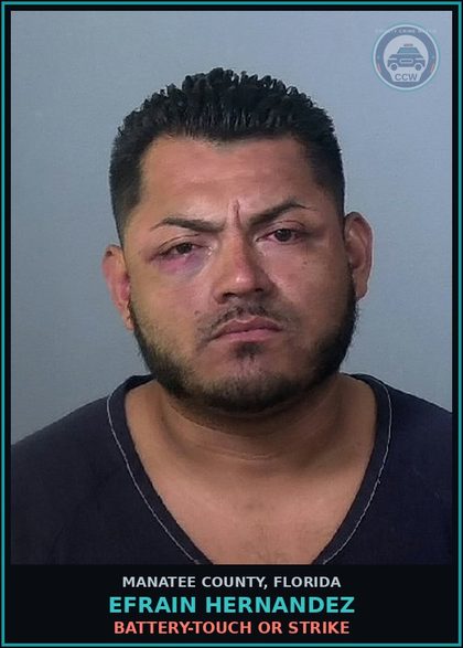 CCW arrest card for EFRAIN HERNANDEZ in Manatee County: BATTERY-TOUCH OR STRIKE