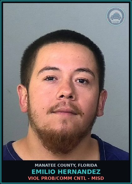CCW arrest card for EMILIO HERNANDEZ in Manatee County: VIOL PROB/COMM CNTL - MISD