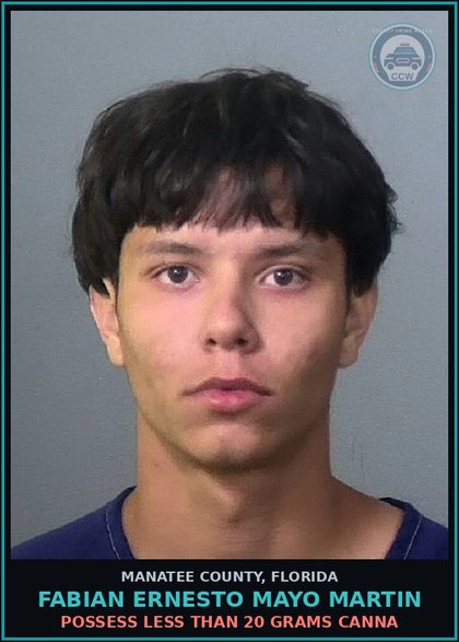 CCW arrest card for FABIAN ERNESTO MAYO MARTIN in Manatee County: POSSESS LESS THAN 20 GRAMS Canna