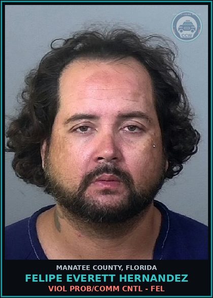 CCW arrest card for FELIPE EVERETT HERNANDEZ in Manatee County: VIOL PROB/COMM CNTL - FEL