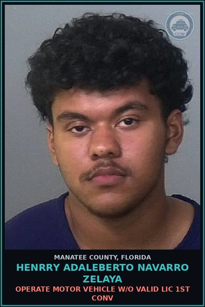 CCW arrest card for HENRRY ADALEBERTO NAVARRO ZELAYA in Manatee County: OPERATE MOTOR VEHICLE W/O VALID LIC 1ST CONV