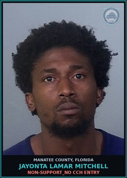 CCW arrest card for JAYONTA LAMAR MITCHELL in Manatee County: NON-SUPPORT_NO CCH ENTRY