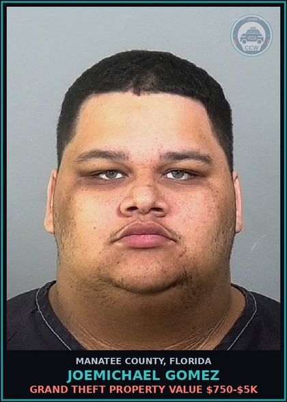 CCW arrest card for JOEMICHAEL GOMEZ in Manatee County: GRAND THEFT PROPERTY VALUE $750-$5K