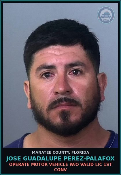 CCW arrest card for JOSE GUADALUPE PEREZ-PALAFOX in Manatee County: OPERATE MOTOR VEHICLE W/O VALID LIC 1ST CONV