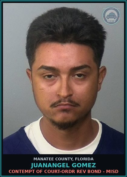 CCW arrest card for JUANANGEL GOMEZ in Manatee County: CONTEMPT OF COURT-ORDR REV BOND - MISD