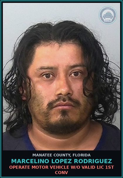 CCW arrest card for MARCELINO LOPEZ RODRIGUEZ in Manatee County: OPERATE MOTOR VEHICLE W/O VALID LIC 1ST CONV